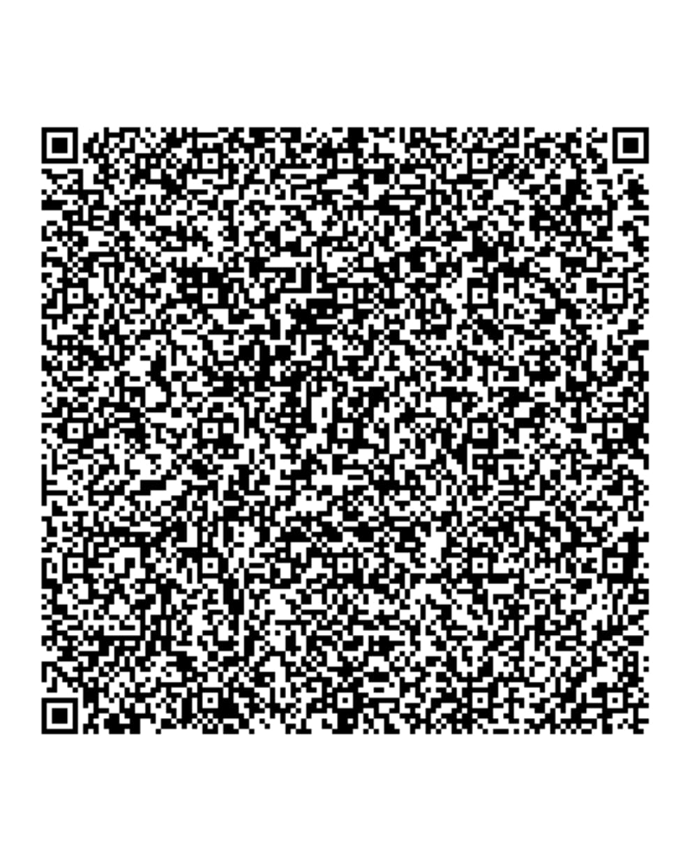 QR Code Germany